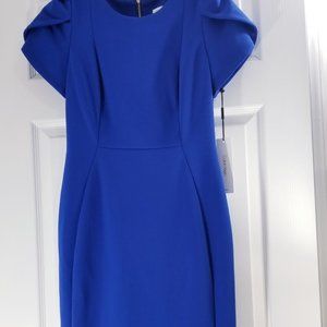 NWT Calvin Klein | Tulip Sleeve Sheath Dress!!